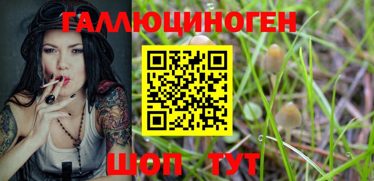 Галлюциногенные грибы мухоморы  Вход с VPN  Туапсе 