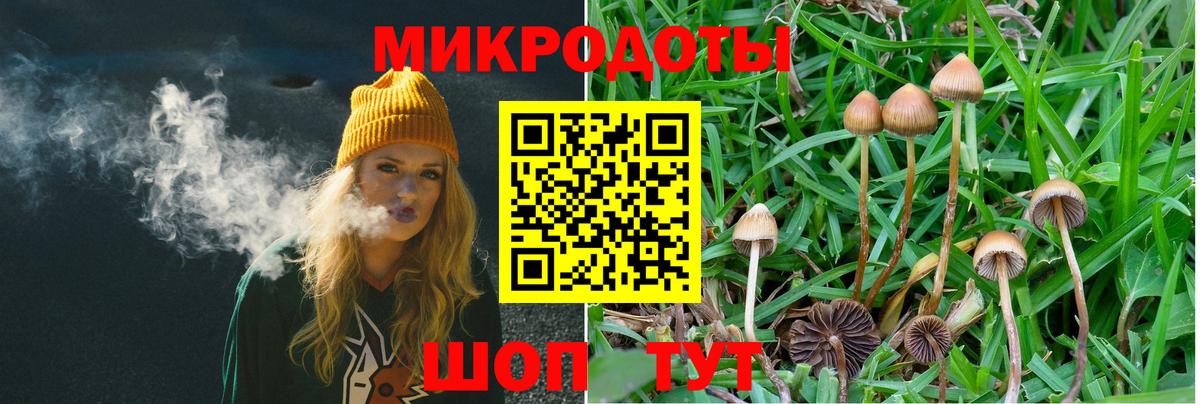 Галлюциногенные грибы прущие грибы Туапсе